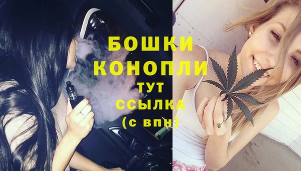 дживик Абинск