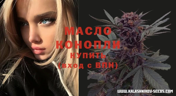 стафф Майский