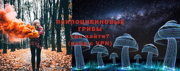 дживик Абинск