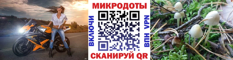 Псилоцибиновые грибы MAGIC MUSHROOMS купить Архангельск